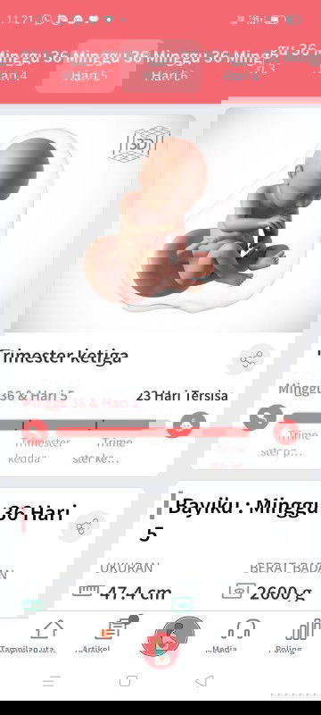 UK 36 W belum masuk panggul