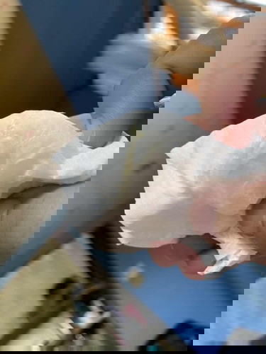 มูกใส 36+2สัปดาห์