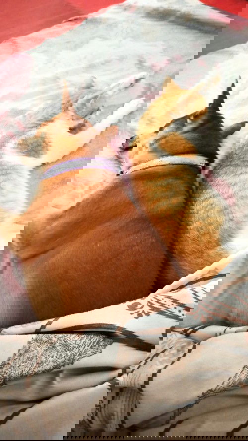 9 weeks, symptoms na still okay pa si baby.