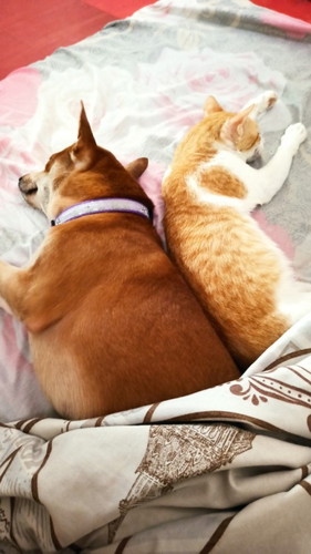 9 weeks, symptoms na still okay pa si baby.