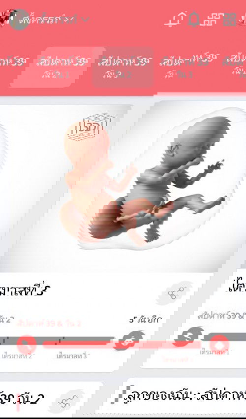 #ทีมคลอด #ทีมมีนาคม