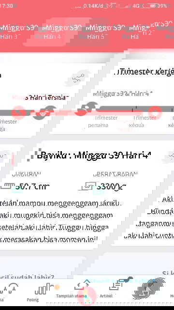 Mendekati persalinan