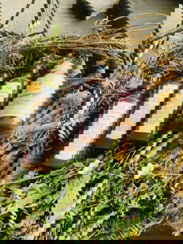 Mình muốn tư vấn cho các mom một chút về rụng tóc