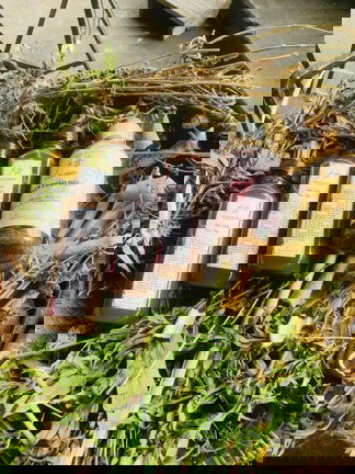 Mình muốn tư vấn cho các mom một chút về rụng tóc