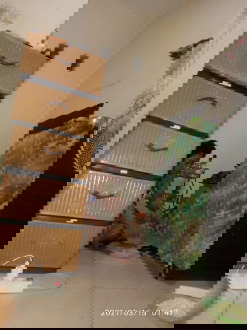 Suka lapar tengah malem gk bun ?