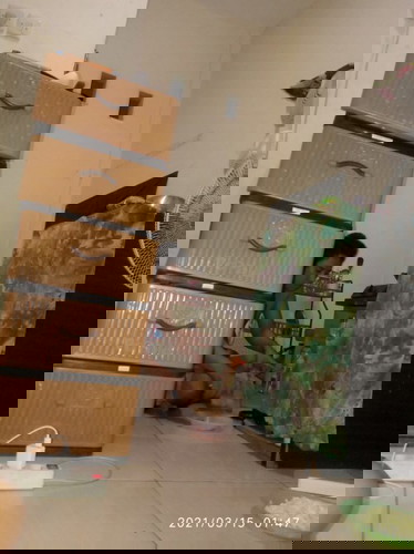 Suka lapar tengah malem gk bun ?