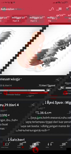 Kelahiran anak first