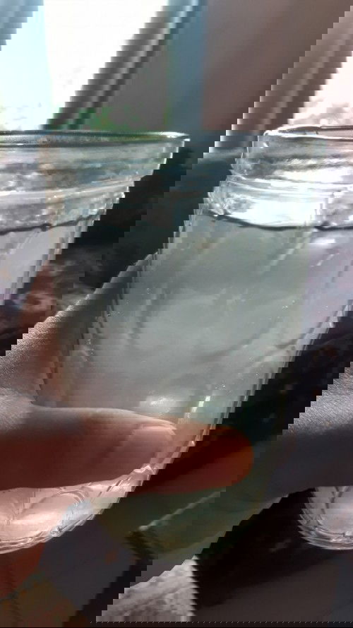 Selalu minum air kelapa di pagi hari 😊😊😊😊😊😊😊