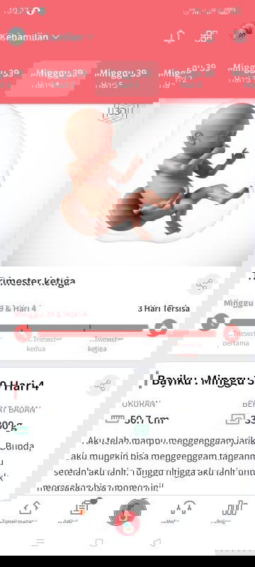 Mendekati hpl tapi belum ada gelombang cinta