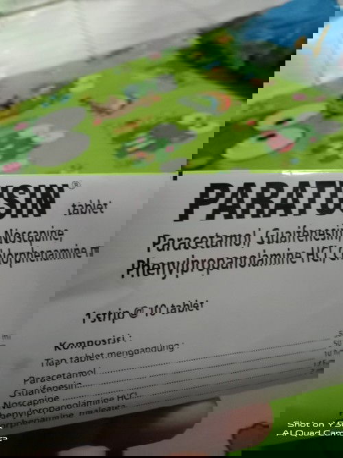 Apakah obat paratusin aman buat ibu hamil??