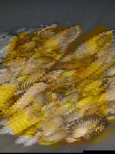 Cerita Ngidamku 😁