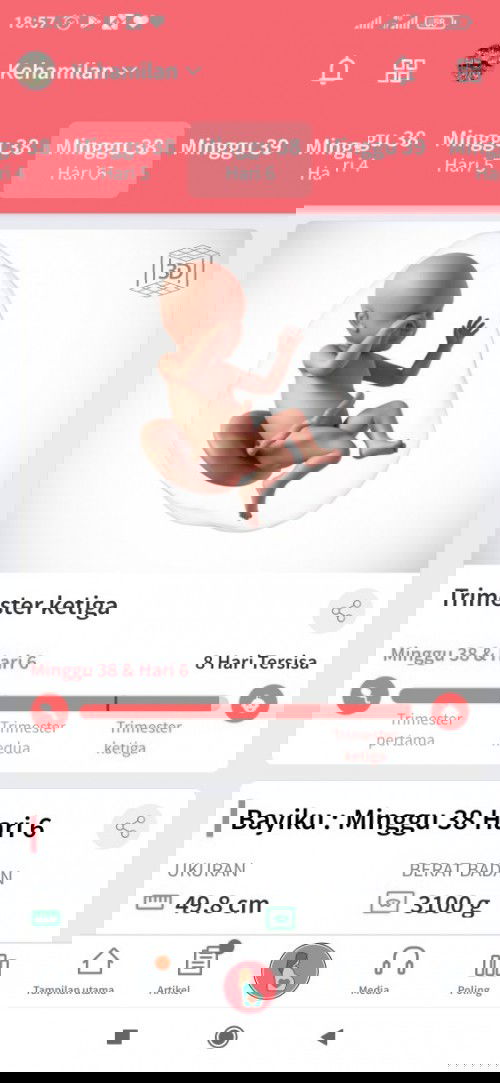 Ngeflek tapi masih konpal