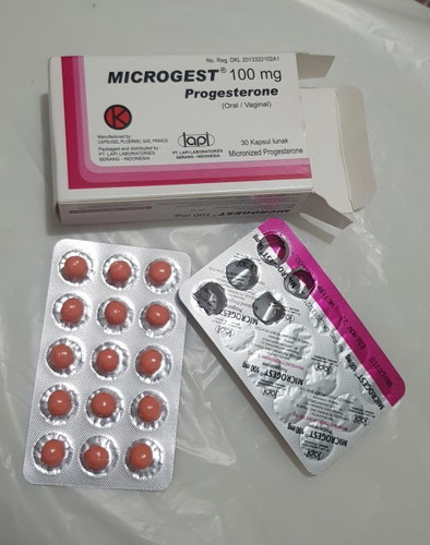 Obat penguat kandungan microgest 100mg