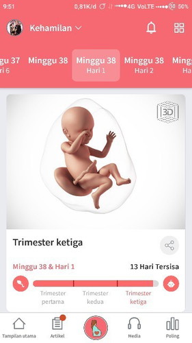 Menunggu gelombang cinta