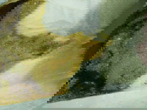 #ขอคำแนะนำหน่อยค่ะ ลูกไปฉีดวัคซีนมาเมื่อวานแล้วอึน้องเป็นแบบนี้ปกติไหมค่ะฉีดวัคซีน6เดือนค่ะ