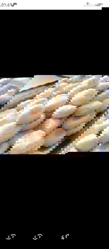 Apakah bunda saat hamil susah makan dan pengennya ngemil mulu