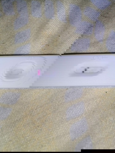 Pregnancy Test