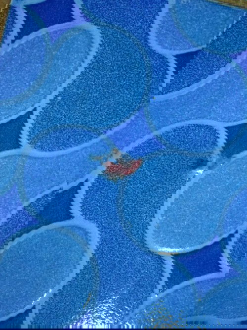 Perut mulai terasa mules