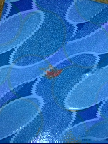 Perut mulai terasa mules