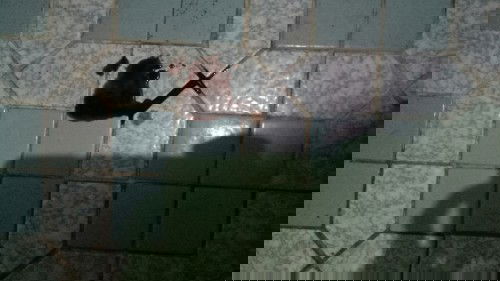 8 weeks pregnant pero may bleeding ? Ano po ang dapat ko pong gawin?? Any advise po? first baby po :