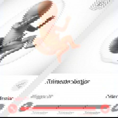 Menunggu Gelombang Cinta nya dedek utun