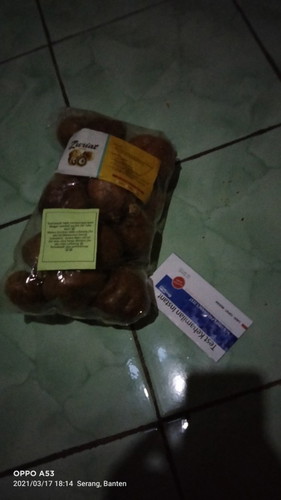 Semoga ini bisa membantu solusinya peluang kehamilan dengan ngonsumsi buah zuriat