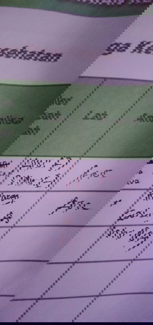 HB rendah , Msh mual muntah, di makanin sayur sma buah naga keluar lg