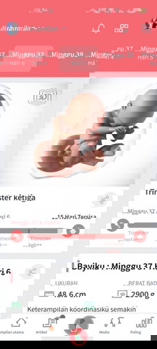 Menjelang persalinan