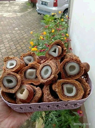 Bagi pejuang promil & haid tidak lancar, konsumsi buah ini bun
Bisa meningkatkan kesuburan π