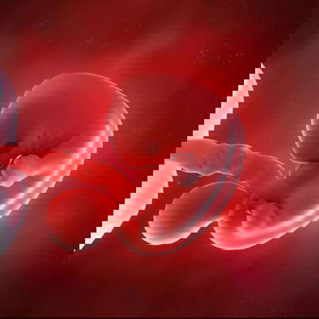 ฝากครรภ์ โรงพยาบาลเปาโล สมุทรปราการ แนะนำคุณหมอสูติท่านไหนกันบ้างคะ