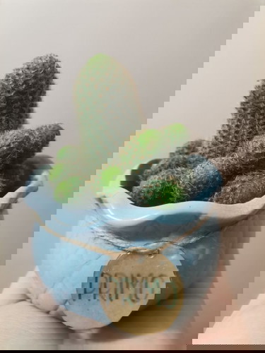 MY BABY IN HEAVEN š¼š»