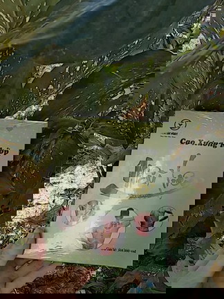 E hỏi ngu tý. Bầu có ăn dk lá nốt k nhỉ, thèm thịt quán lá lốt quá.