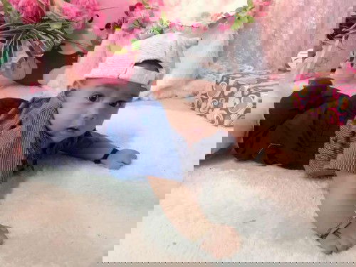 Yuk bagi cerita ☺️