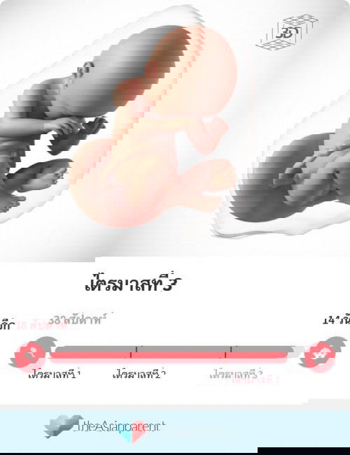 ทีม เมษายน 64