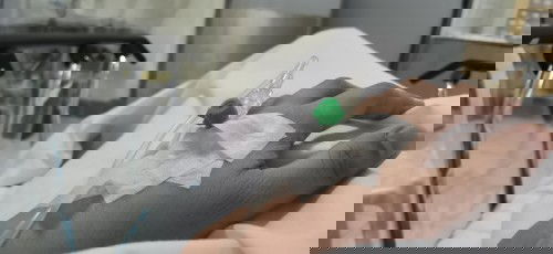 Induction at 38 wks and 6 days