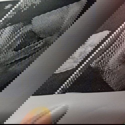 ญ/ช ค่ะ 21w