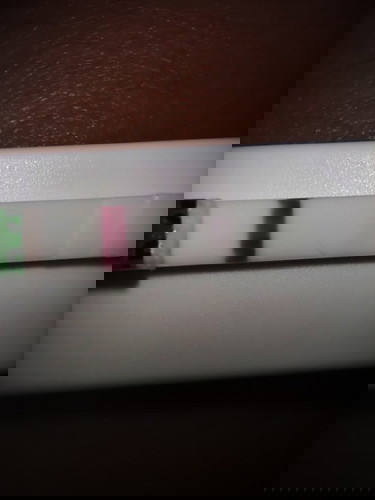 Pregnancy Test