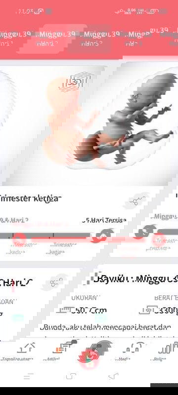 Belum datang gelombang cinta