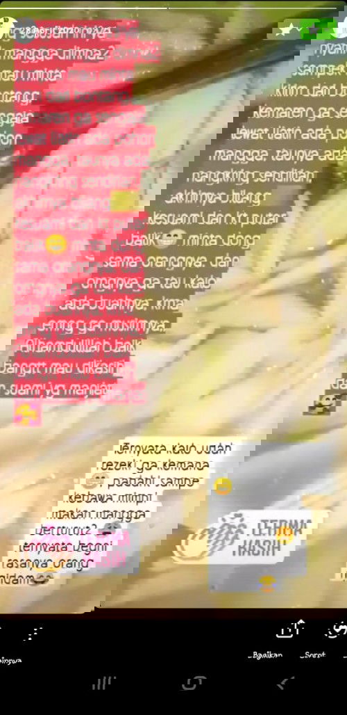 Ngidam mangga muda saat tidak musimnya