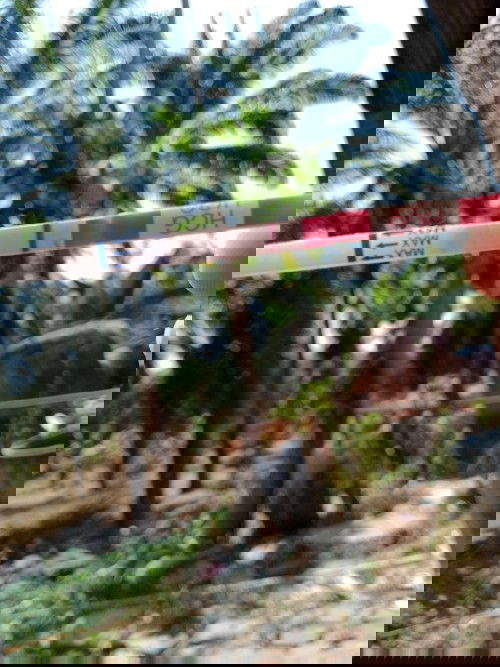 1เดือน ปจด.มา2รอบค้ะ