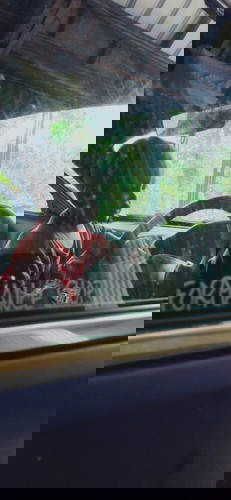 Akhirnya Adib bisa jalan tanpa pegangan