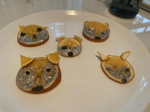 Dehydrated oranges art and craft project