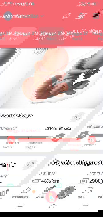 Lahiran anak pertama