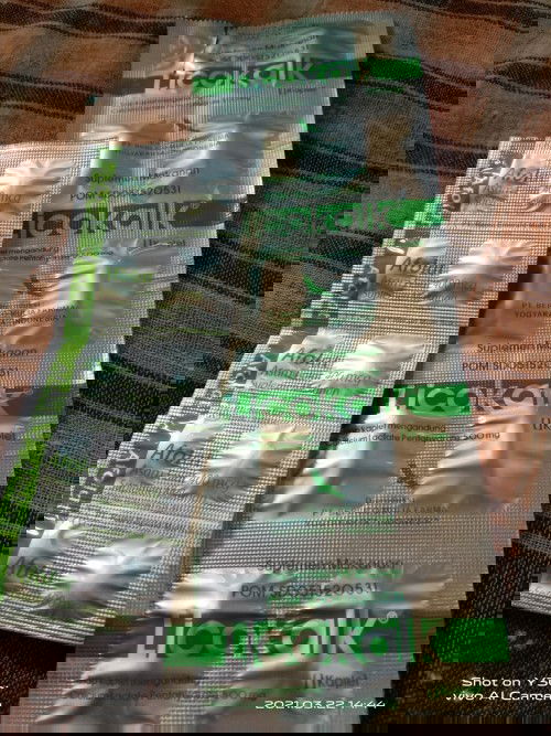 Mendambakan buah hati