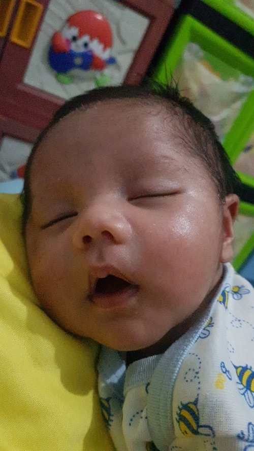 Butuh masukan