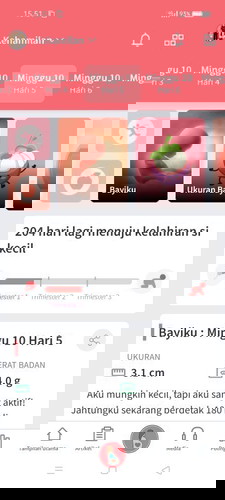 Udah 10 Minggu Belum Terraba, Katanya Berat Badan Kecil