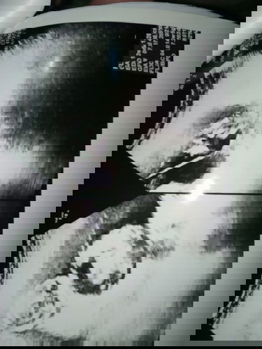 Senangnya Ketika mengetahui bayi saya kembar