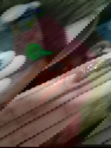 Mau tanyaaa smaa bunda bunda yg disini