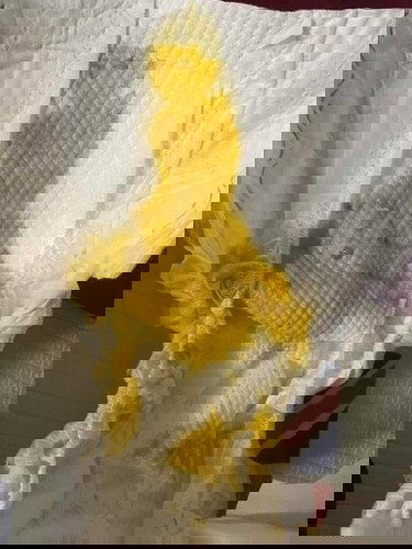 My baby poop worried