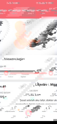 Sudah mendekati HPL tapi belum ada tanda² lahiran